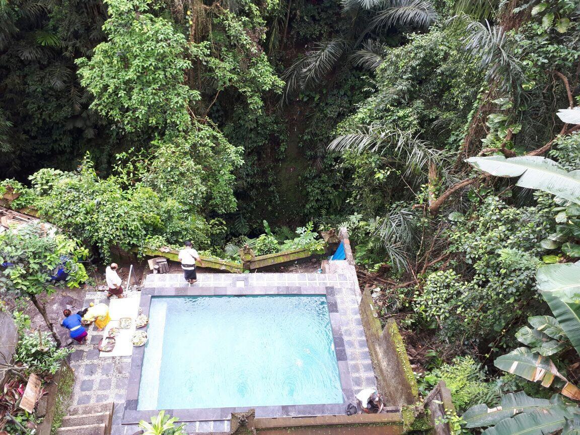 Hostel Anggrek Mas Bed & Breakfast Ubud Zewnętrze zdjęcie